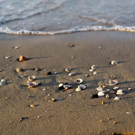 Charming Near The 비비오네